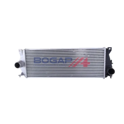 Imagem de BOGAP E4240110 Depósito de Compensação Refrigerante com tampa