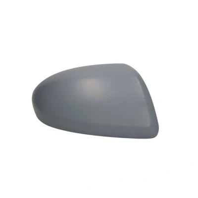 Imagem de Espelho retrovisor exterior painel de instrumentos BLIC 6103 14 2002866P