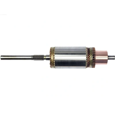 Imagem de AS PL SA3012 Induzido, motor de arranque