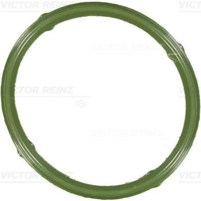 Imagem de REINZ 71 36066 00 Junta de Coletor Admissão FPM (borracha flúor) VOLKSWAGEN: Polo IV Hatchback, SKODA: Fabia 1 Combi, I Hatchback