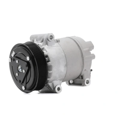 Imagem de DELPHI TSP0155829 compressor 5CVC PAG 46 com óleo de RENAULT: MEGANE 2 Kombi, 2, Coupe Cabriolet