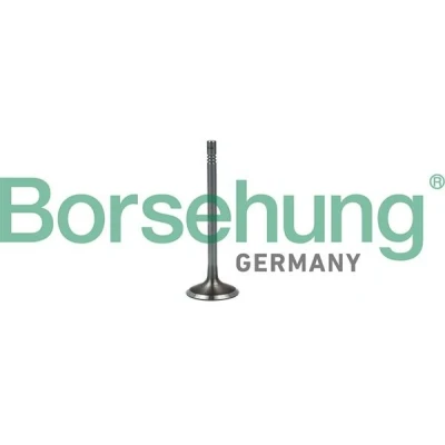 Imagem de Borsehung B19023 Válvula de Admissão SEAT: Tarraco