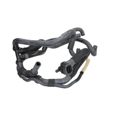 Imagem de SASIC 3404198 Mangueira de Radiador RENAULT: CLIO 3