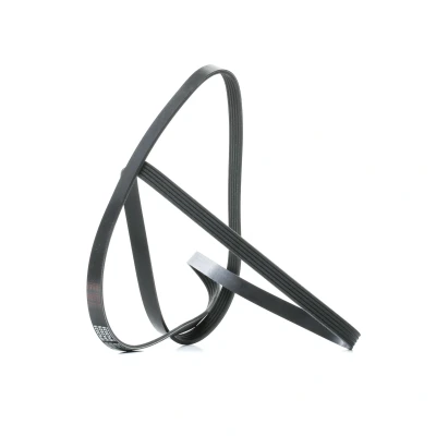 Imagem de FEBI BILSTEIN 28888 Correia trapezoidal estriada 2025 5 EPDM (borracha de etileno propileno dieno) BMW: 3 Sedan, Touring, Sedan