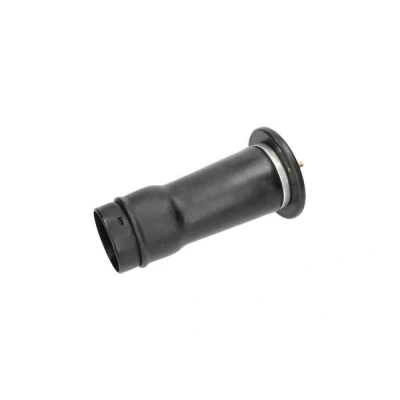Imagem de KAVO PARTS SAS 10025 Mola pneumática, chassis Eixo traseiro