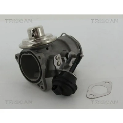 Imagem de TRISCAN 8813 29036 Válvula EGR pneumático com juntas VOLKSWAGEN: Caddy 3, SKODA: Octavia II Hatchback