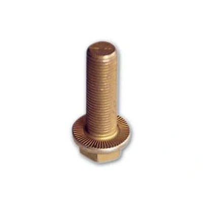 Imagem de Parafuso AUGER 51519