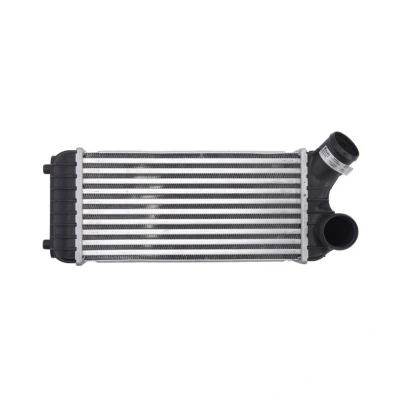 Imagem de NISSENS 96491 Intercooler