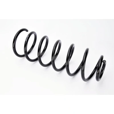 Imagem de Magnum Technology SX117MT Mola de suspensão Eixo traseiro helicoidal para veículos sem regulação nível