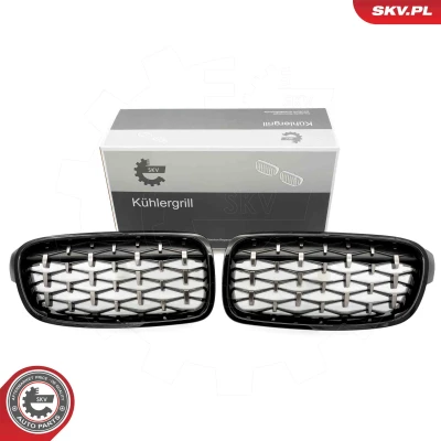Imagem de ESEN SKV 66SKV129 Grelha de Radiador brilhante, preto, côr prata BMW: 3 Touring, Sedan