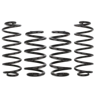 Imagem de EIBACH Pro Kit E10 15 018 08 22 de suspensão, molas