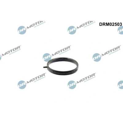 Imagem de Junta, tubo do líquido de refrigeração Dr.Motor Automotive DRM02503