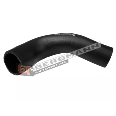 Imagem de SASIC 3334045 Mangueira Para o Turbocompressor RENAULT: CLIO 3