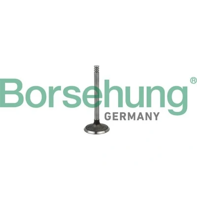 Imagem de Borsehung B18998 Válvula de Admissão VOLKSWAGEN: Polo IV Hatchback, Golf 4 Variant, Passat B5 GP Sedan, AUDI: A4 B7 Avant, A3 B6 Sedan