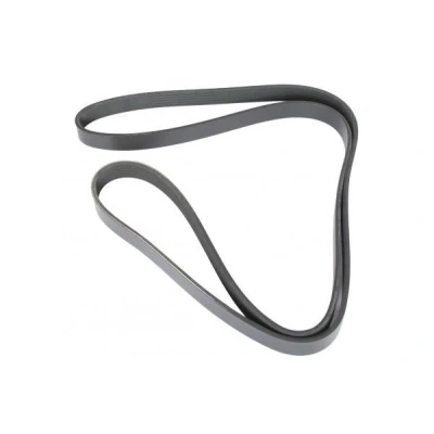 Imagem de MAPCO 261795 Correia trapezoidal estriada 1795 6 OPEL: Corsa B Hatchback, Astra G CC, Caravan, RENAULT: LAGUNA 2 Grandtour, 1,