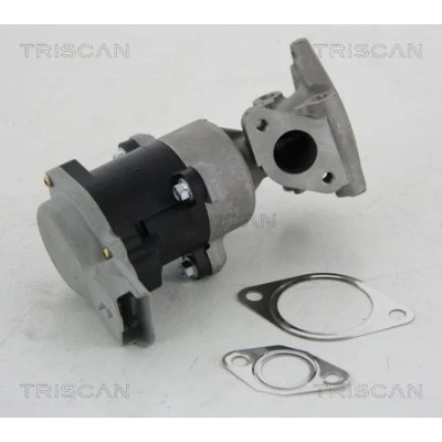 Imagem de TRISCAN 8813 10008 Válvula EGR elétrico com juntas PEUGEOT: 407 Sedan, Coupe, SW, CITROËN: C5 III Carrinha