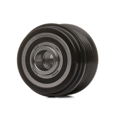 Imagem de INA 535 0310 10 Polia Roda Livre do Alternador Ferramenta especial necessária para a montagem FORD: Transit Connect V408 Van, Custom V362 Van