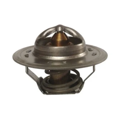 Imagem de THERMOTEC D2PE001TT Termóstato, líquido de refrigeração 82 sem caixa