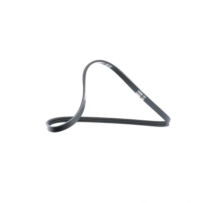 Imagem de DAYCO 3PK740 Correia trapezoidal estriada 740,0 3 RENAULT: CLIO 2, Kangoo I Express, 2 Kasten, DACIA: SANDERO