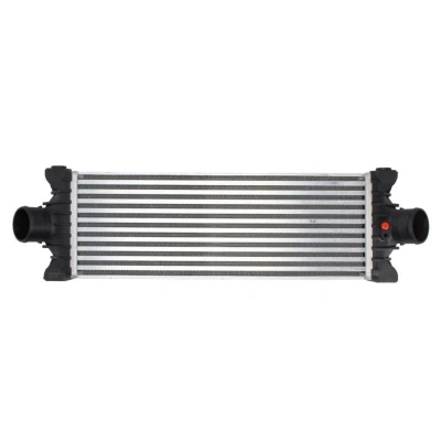 Imagem de THERMOTEC DAG017TT Intercooler FORD: Transit Mk6 Camião de plataforma/Chassis