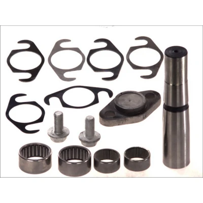 Imagem de Kit de reparação, pivô do munhão eixo C.E.I 230058