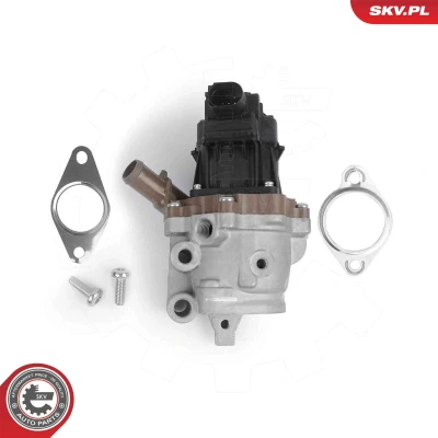 Imagem de Válvula de recirculação dos gases escape ESEN SKV 14SKV313