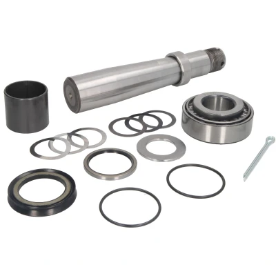 Imagem de Kit de reparação, pivô do munhão eixo C.E.I 198569