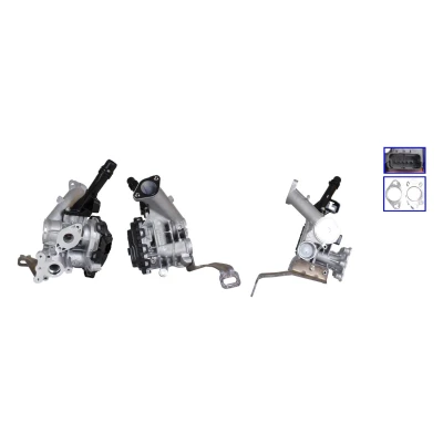 Imagem de ELSTOCK 73 0287 Válvula EGR elétrico com material de montagem CITROËN: Berlingo II Van, C3 II, PEUGEOT: 308 SW 2, 2008 Carrinha