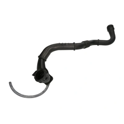 Imagem de THERMOTEC DCR183TT Mangueira Para o Turbocompressor RENAULT: MEGANE 2 Kombi, CLIO Kasten,