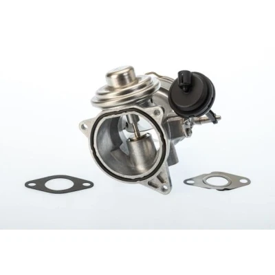 Imagem de WAHLER 7650D/1 Válvula EGR pneumático com juntas VOLKSWAGEN: Touareg I