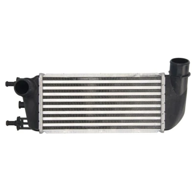 Imagem de THERMOTEC DAF010TT Intercooler