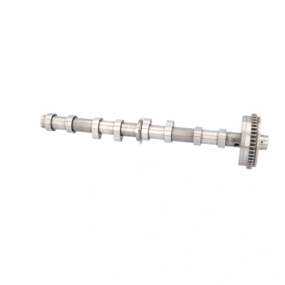 Imagem de FEBI BILSTEIN 175291 Árvore de Cames Lado admissão VOLKSWAGEN: GOLF 6, Scirocco III, Passat B6 Variant, AUDI: A3 Sportback, Hatchback
