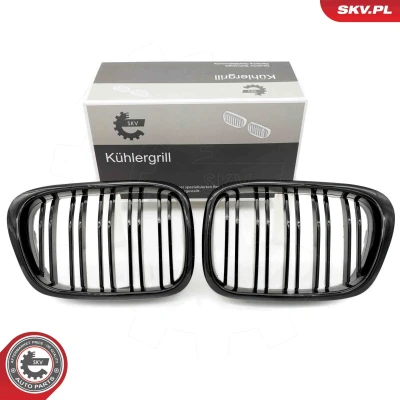 Imagem de ESEN SKV 66SKV161 Grelha de Radiador brilhante, preto BMW: 5 Sedan