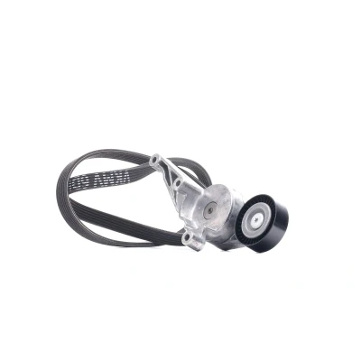 Imagem de SKF VKMA 31091 Jogo de correias trapezoidais estriadas VOLKSWAGEN: Sharan I, Caddy 3, SEAT: Alhambra I