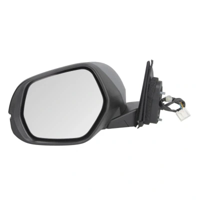 Imagem de Espelho retrovisor exterior BLIC 5402 12 0493361P Links