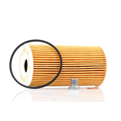 Imagem de BOSCH F 026 407 206 Filtro de óleo com juntas Cartucho filtrante LANCIA: Voyager