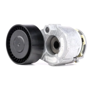 Imagem de INA 534 0269 10 Tensor, correia trapezoidal estriada RENAULT: Kangoo I Express, Duster, Clio 4, NISSAN: Juke endado, norauto, oscaro, mister auto