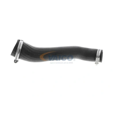 Imagem de VAICO V25 1027 Mangueira Para o Turbocompressor Borracha com entretela Q+, original equipment manufacturer quality FORD: FIESTA 5, 5 Van