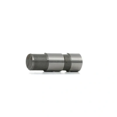 Imagem de FEBI BILSTEIN 05619 Tensor, corrente de distribuição FORD: Transit Mk5 Van, Galaxy Mk1 MPV, Sierra Mk2 Hatchback endado, norauto, oscaro, mister auto