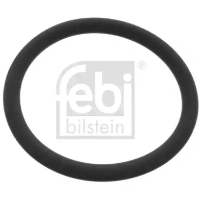 Imagem de O rings de borracha FEBI 48765