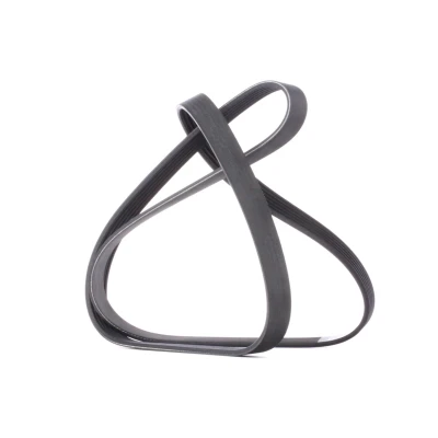 Imagem de DAYCO 6PK1520 Correia trapezoidal estriada 1520,0 6 FORD: Focus 2, 2 Kombi, C Max, VOLKSWAGEN: Lupo / 3L, SKODA: Octavia I Hatchback