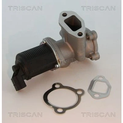 Imagem de TRISCAN 8813 10003 Válvula EGR electrónico com juntas OPEL: Astra H Hatchback, Caravan, Corsa D FIAT: Grande Punto Hatchback