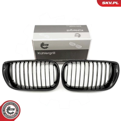 Imagem de ESEN SKV 66SKV075 Grelha de Radiador preto, brilhante BMW: 3 Sedan, Touring
