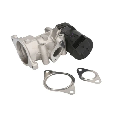 Imagem de NGK 93608 Válvula EGR elétrico com juntas FORD: Focus 2, 2 Kombi, S Max Mk1, PEUGEOT: 307 SW, 308 I Carrinha, CITROËN: C4 Hatchback