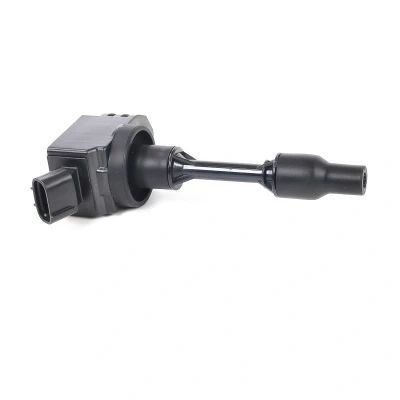 Imagem de DELPHI GN11113 12B1 Bobina de ignição 3pólos 12V