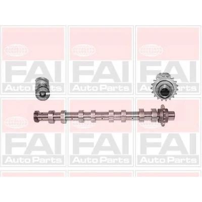 Imagem de FAI AutoParts C267 Árvore de Cames CITROËN: C4 I Grand Picasso, Berlingo II Van, / First MINI: Hatchback, FORD: FIESTA 6