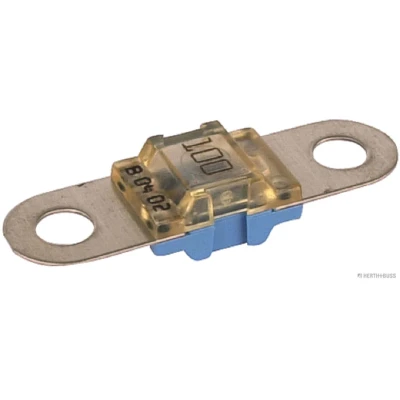 Imagem de HERTH+BUSS ELPARTS 50295863 Fusível 100 Azul 32