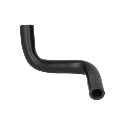 Imagem de THERMOTEC DCR169TT Tubo flexível de admissão, filtro ar RENAULT: CLIO 2