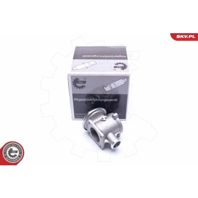 Imagem de ESEN SKV 14SKV178 Válvula EGR pneumático BMW: 3 Touring, Sedan, 1 Hatchback