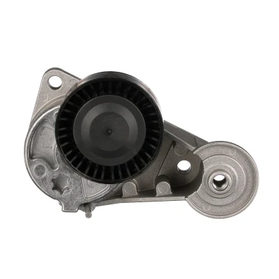 Imagem de GATES FleetRunner Micro V Kit T39025 Polia Tensora